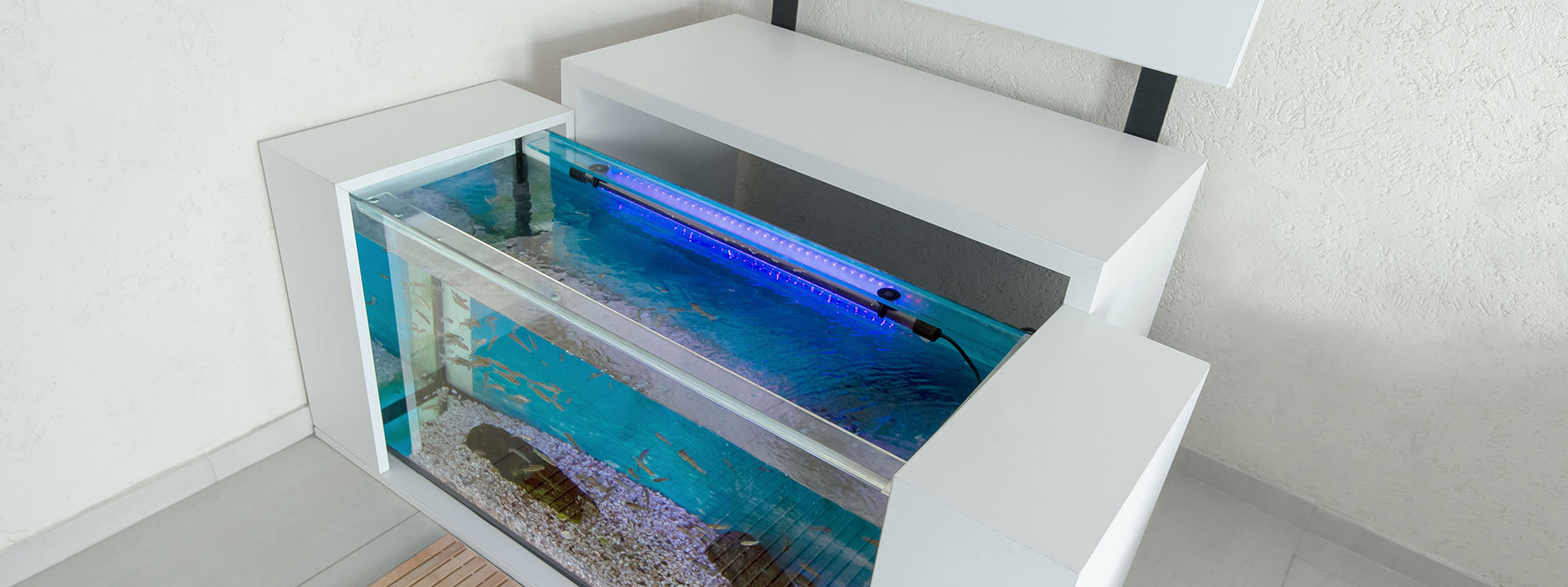 Knabber-Spa Design-Aquarien für Fischpediküre B2B